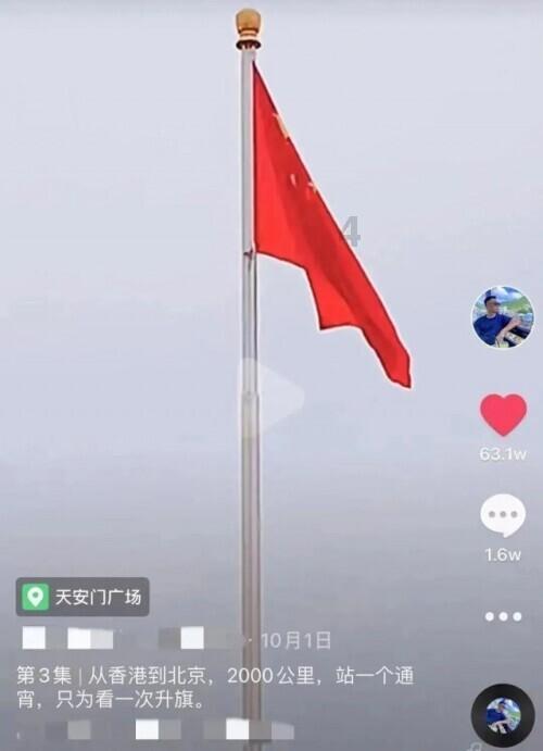 完美的收藏品